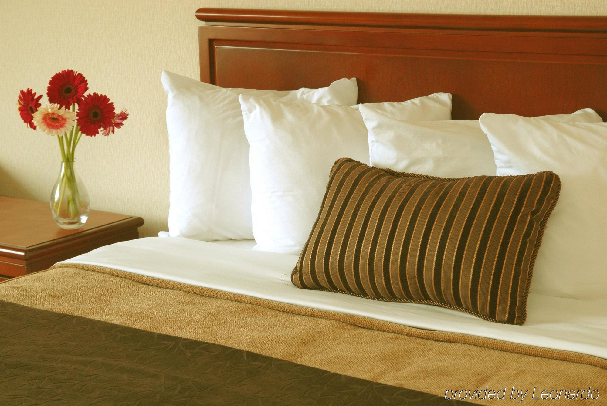 ดับเบิลทรี บาย ฮิลตัน เซนต์จอห์นส์ ฮาร์เบอร์วิว Hotel ห้อง รูปภาพ