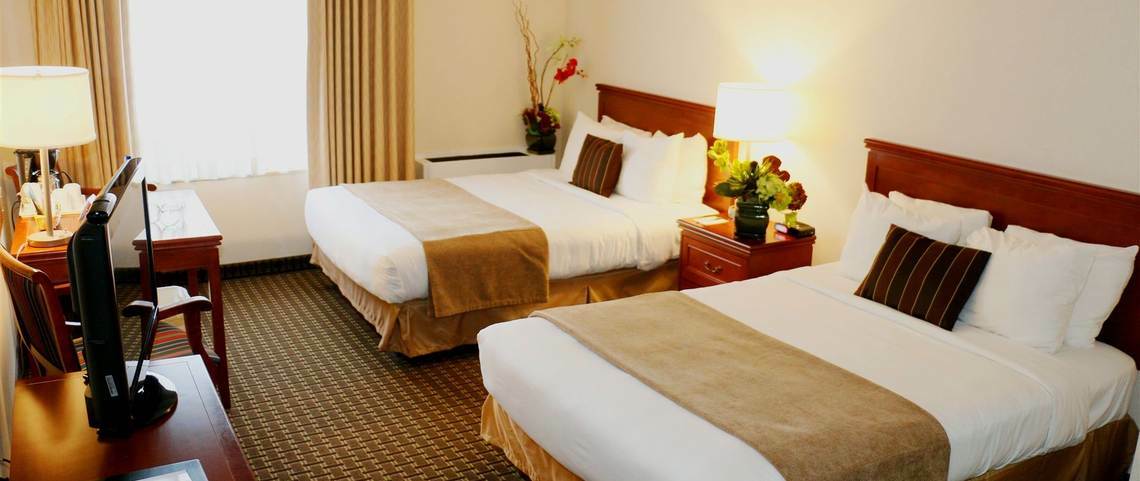 ดับเบิลทรี บาย ฮิลตัน เซนต์จอห์นส์ ฮาร์เบอร์วิว Hotel ภายนอก รูปภาพ